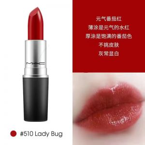 MAC口红 LADY BUG 510#韩免