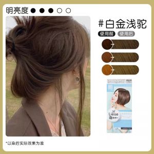 新版花王泡泡染发剂-白金浅驼